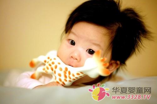 С��ĥ�����м���