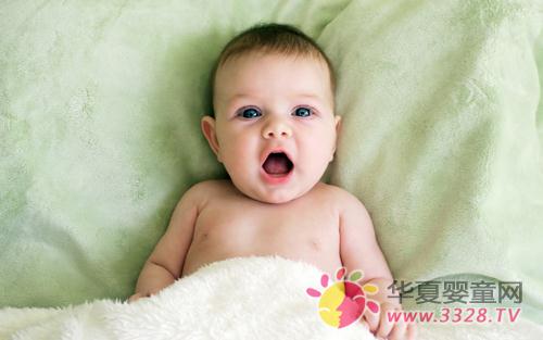 ��Ԥ��С����ð��ʳƷ