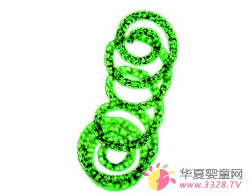 �����������ౣ��Ʒ�г�������׼��ͳһ