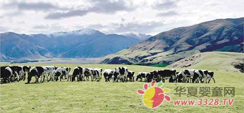 2010��Ȼ��Ʒ�չ��������̳�����Υ��