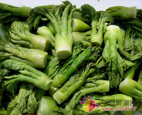 �ñ���ǿ�������Ұ��ʳ��