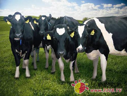 ������Դ�б�Ҫ��������