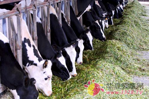 ������ţ�����л��̾߱����ߵ�Ч��