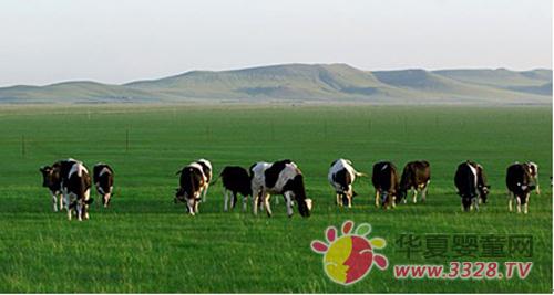 ʯ��ׯ�����й��̷۳����̱�